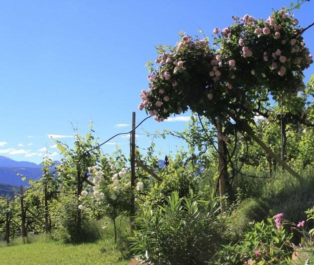 Apartamento Millenniumshof Caldaro sulla Strada del Vino Exterior foto